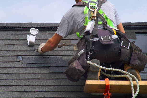 Best Roof Gutter Cleaning  in Germantown, IL