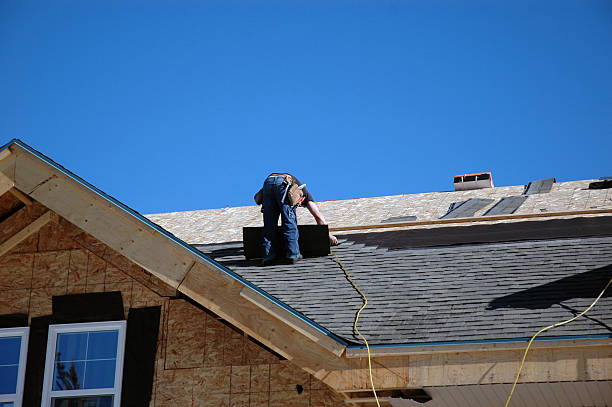 Best Roof Gutter Cleaning  in Germantown, IL